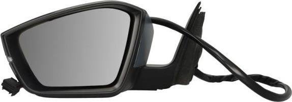 BLIC 5402-43-1319316P - Oglinda exterioara aaoparts.ro