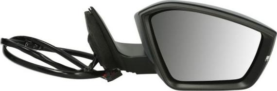 BLIC 5402-43-1319317P - Oglinda exterioara aaoparts.ro