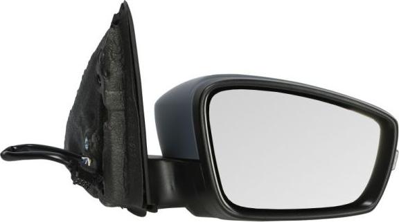 BLIC 5402-43-2002344P - Oglinda exterioara aaoparts.ro