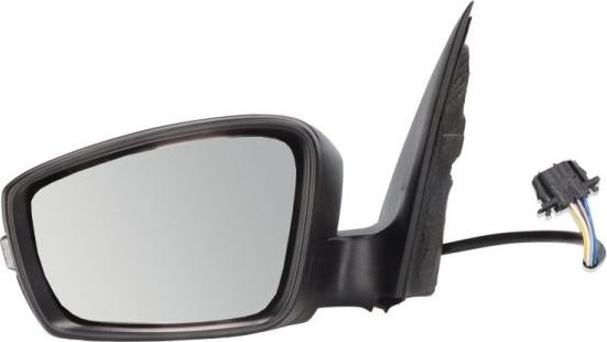 BLIC 5402-43-2002343P - Oglinda exterioara aaoparts.ro