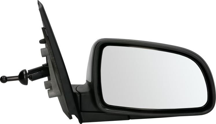 BLIC 5402-56-2001064P - Oglinda exterioara aaoparts.ro