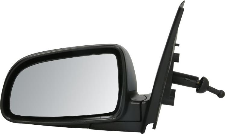 BLIC 5402-56-2001065P - Oglinda exterioara aaoparts.ro