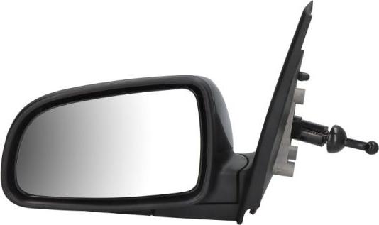 BLIC 5402-56-2001063P - Oglinda exterioara aaoparts.ro