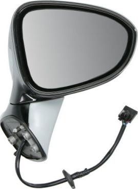 BLIC 5402-04-1103317P - Oglinda exterioara aaoparts.ro