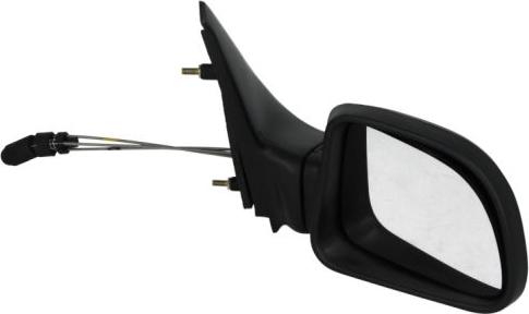 BLIC 5402-04-1115115P - Oglinda exterioara aaoparts.ro