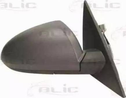 BLIC 5402-04-1121978 - Oglinda exterioara aaoparts.ro