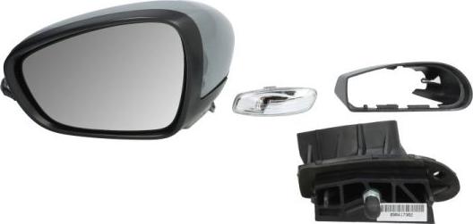 BLIC 5402-04-2104397P - Acoperire oglinda exterioara aaoparts.ro