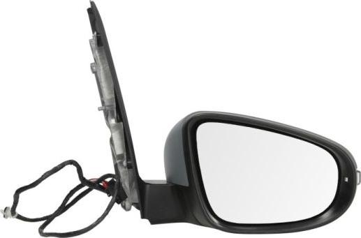 BLIC 5402-01-038360P - Oglinda exterioara aaoparts.ro