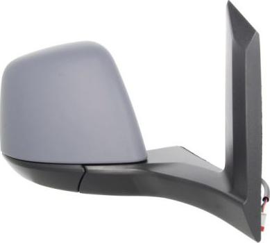 BLIC 5402-03-2001246P - Oglinda exterioara aaoparts.ro