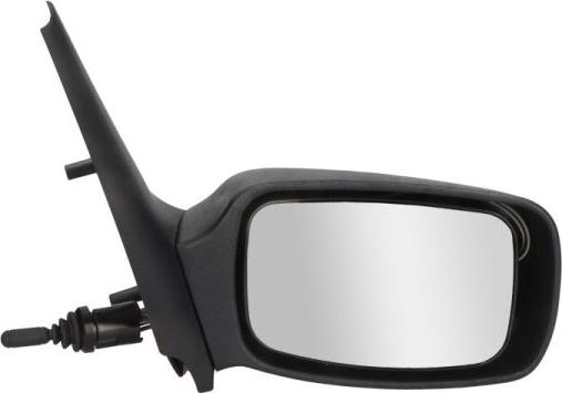 BLIC 5402-03-2002828P - Oglinda exterioara aaoparts.ro