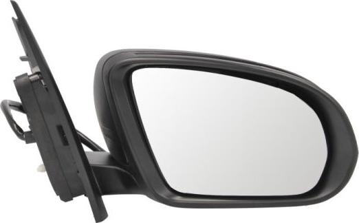BLIC 5402-02-2299313P - Oglinda exterioara aaoparts.ro