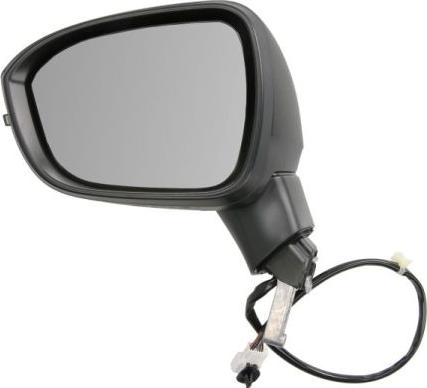 BLIC 5402-16-2556310P - Oglinda exterioara aaoparts.ro