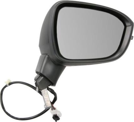 BLIC 5402-16-2556311P - Oglinda exterioara aaoparts.ro