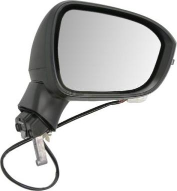 BLIC 5402-16-2556313P - Oglinda exterioara aaoparts.ro