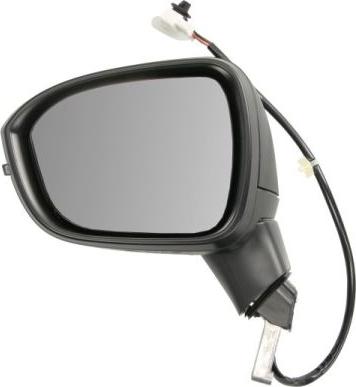 BLIC 5402-16-2556312P - Oglinda exterioara aaoparts.ro