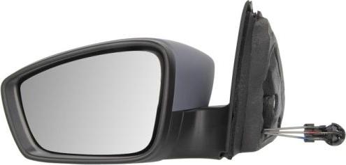 BLIC 5402-10-2002321P - Oglinda exterioara aaoparts.ro