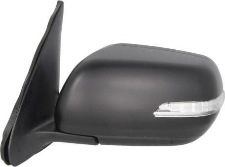 BLIC 5402-18-2002405P - Oglinda exterioara aaoparts.ro