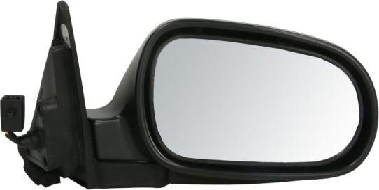 BLIC 5402-12-2002838P - Oglinda exterioara aaoparts.ro