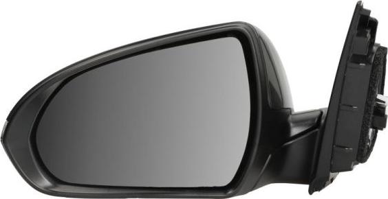 BLIC 5402-20-1966314P - Oglinda exterioara aaoparts.ro