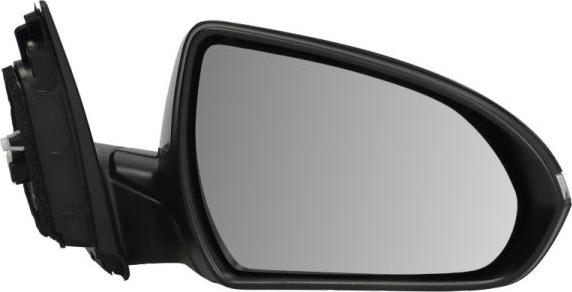 BLIC 5402-20-1966315P - Oglinda exterioara aaoparts.ro