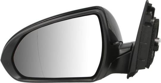 BLIC 5402-20-1966310P - Oglinda exterioara aaoparts.ro