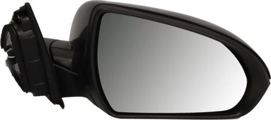 BLIC 5402-20-1966311P - Oglinda exterioara aaoparts.ro