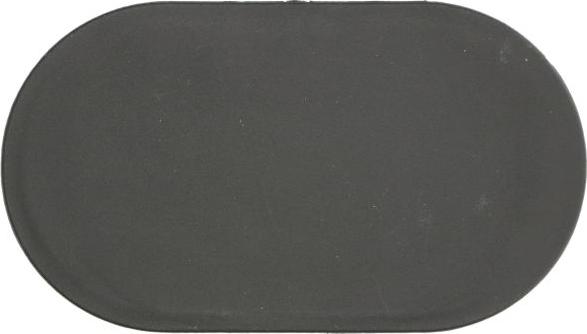 BLIC 5504-00-0097939PP - Grila ventilatie, bara protectie aaoparts.ro