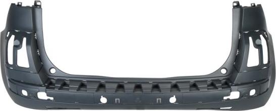 BLIC 5506-00-0538950P - Tampon aaoparts.ro