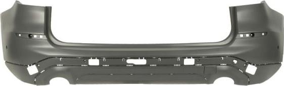 BLIC 5506-00-0097952P - Tampon aaoparts.ro