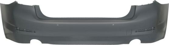 BLIC 5506-00-0068952PP - Tampon aaoparts.ro