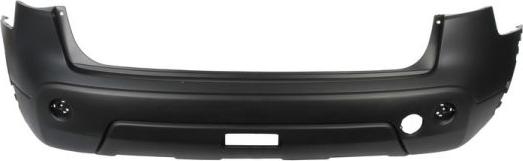 BLIC 5506-00-1617950Q - Tampon aaoparts.ro