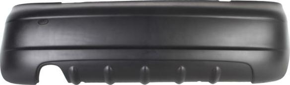 BLIC 5506-00-1103951P - Tampon aaoparts.ro