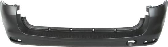 BLIC 5506-00-1301954P - Tampon aaoparts.ro