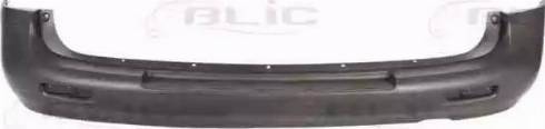 BLIC 5506-00-3191950P - Tampon aaoparts.ro