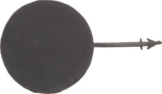 BLIC 5507-00-2563917P - Capac carlig remorcare aaoparts.ro