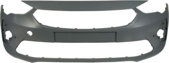 BLIC 5510-00-5028901P - Tampon aaoparts.ro