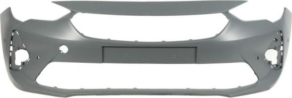 BLIC 5510-00-5028902P - Tampon aaoparts.ro