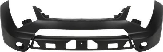 BLIC 5510-00-6802900P - Tampon aaoparts.ro