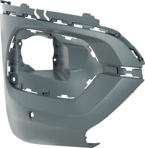 BLIC 5510-00-0554914Q - Tampon aaoparts.ro