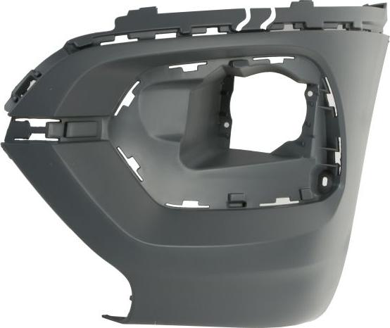 BLIC 5510-00-0554911Q - Tampon aaoparts.ro