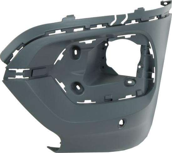 BLIC 5510-00-0554913Q - Tampon aaoparts.ro