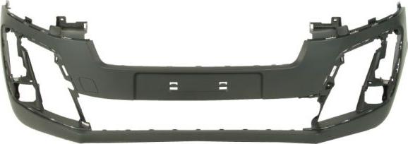 BLIC 5510-00-0561901P - Tampon aaoparts.ro