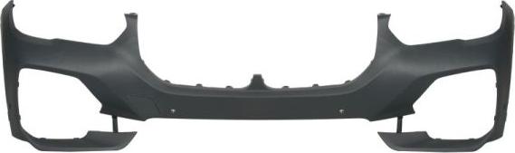 BLIC 5510-00-0098901P - Tampon aaoparts.ro