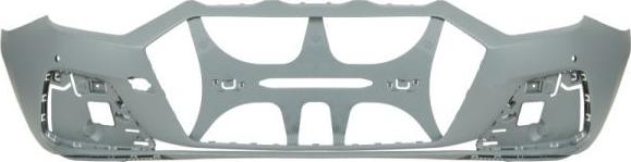 BLIC 5510-00-0047904P - Tampon aaoparts.ro