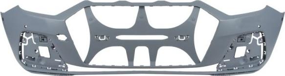 BLIC 5510-00-0047905P - Tampon aaoparts.ro