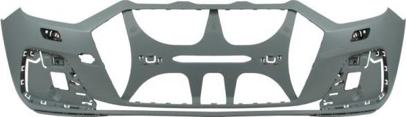 BLIC 5510-00-0047906P - Tampon aaoparts.ro