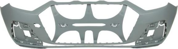 BLIC 5510-00-0047903P - Tampon aaoparts.ro