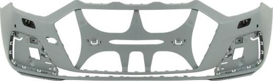 BLIC 5510-00-0047907P - Tampon aaoparts.ro