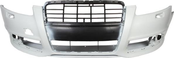 BLIC 5510-00-0031905P - Tampon aaoparts.ro