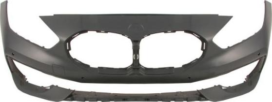 BLIC 5510-00-0073904P - Tampon aaoparts.ro